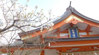 桜満開の紅葉山神社