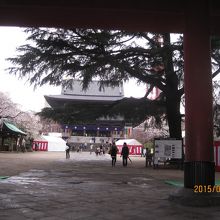 たたずんでいます