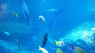 予想以上におもしろかった！