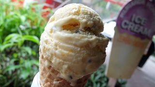 キュランダで人気のアイスクリーム屋さん
