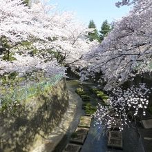 東橋（あずまばし）からの眺め