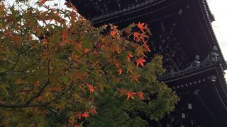 紅葉し始めが空いていて狙い目