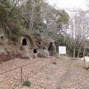 日本最大の規模の横穴墓群？