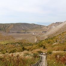ちょっと歩きます
