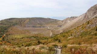 歩く元気のある人は