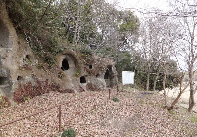 日本最大の規模の横穴墓群？