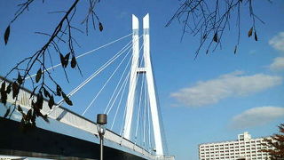 辰巳運河に架かる目立つ橋です