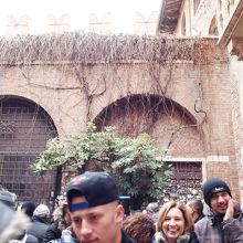 中庭の奥には、南京錠もかなりありました。