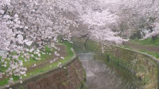 ピークを過ぎても見ごたえ十分