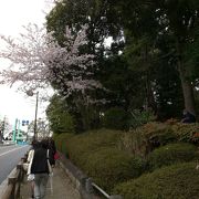 ★野毛山動物園に行くついでに