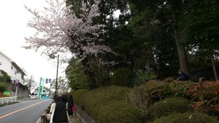 ★野毛山動物園に行くついでに