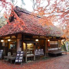 水谷茶屋付近の紅葉