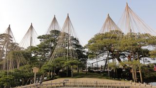 今度は花の季節に