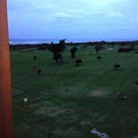 芝は隣接大ホテルのゴルフ場？その向こうに海