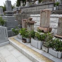 二宮敬作遺髪墓