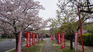 家康宿泊の寝衣