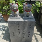 猫の頭撫でちゃう