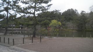 南大門と大仏殿の近く