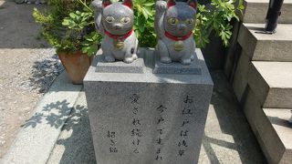 猫の頭撫でちゃう