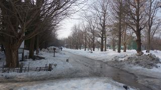 雪景色の公園でした