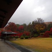 無料で素敵な庭園等を見られます