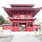 宇都宮で一番先に咲くヒガン桜があります。