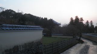 夕方に境内を散策しました