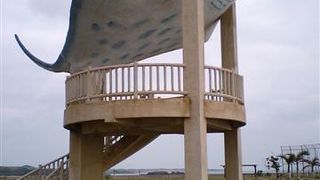 マンタの展望台