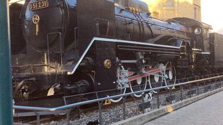 国立科学博物館の屋外に展示 