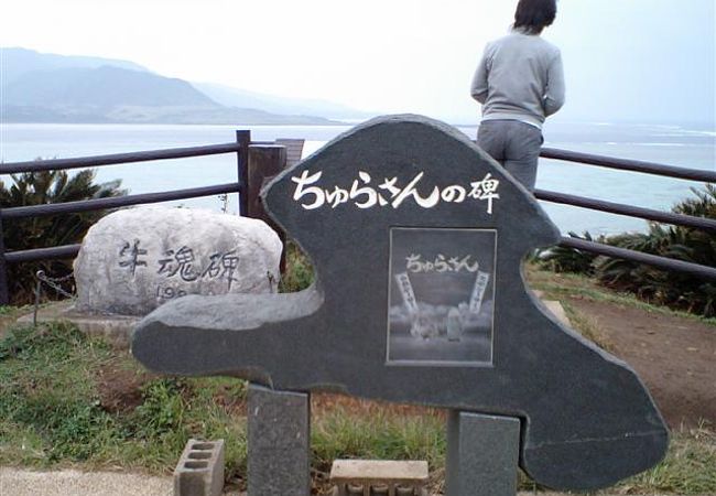 ちゅらさん広場 クチコミ アクセス 営業時間 小浜島 フォートラベル