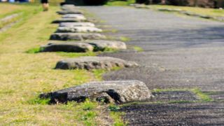 市民が休日まったり過ごしているのが良い