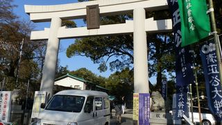見上げる大小天守と宇土櫓の眺めは絶景！