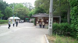 旧淀川の河川敷に公園