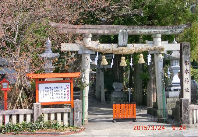 椙本神社 クチコミ アクセス 営業時間 いの町 土佐町 フォートラベル