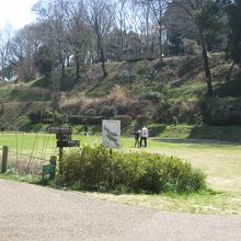 公園で親子が遊んでいました
