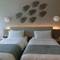 オシャレできれいです