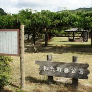 和気清麻呂神社の奥に自称日本一の藤棚