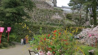 桜の名所でもあります