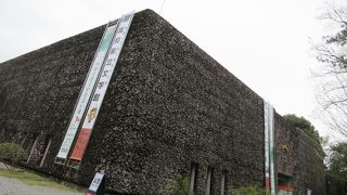 小さな子どもとのお出掛けにもおススメの場所