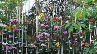 高知に行ったらぜひ行ってほしい観光スポット