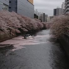 橋からの風景