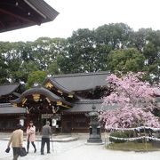 玉の輿　今宮神社