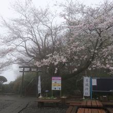 葛城神社