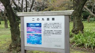 東京のオアシス