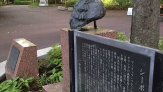 あかつき公園にあります。