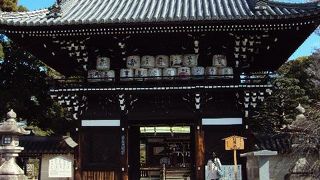 京都一花の綺麗な神社