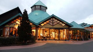 富津館山道を降りてすぐの道の駅。名物はもちろん枇杷。