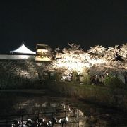 福岡城さくらまつり  赤坂