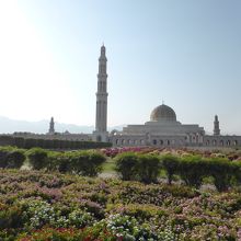 モスクの周りは，緑と花々の庭園