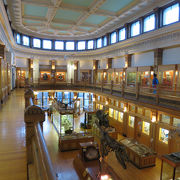 北米初の自然史博物館